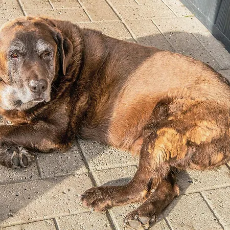 Semesterbostad 4 Person In *