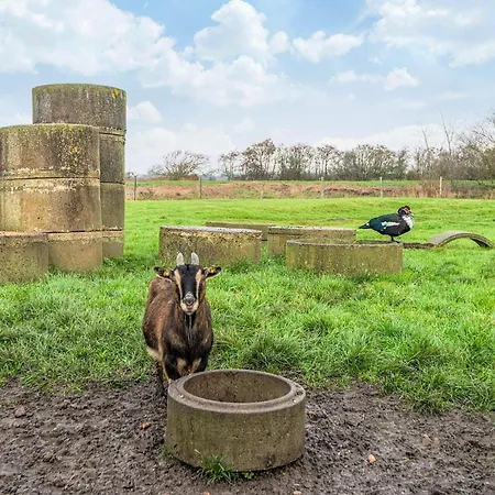 4 Person In Semesterbostad