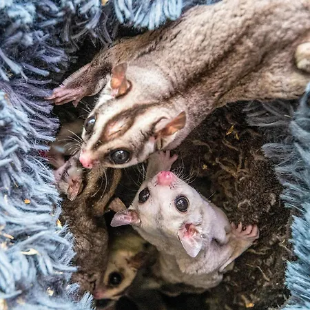 4 Person In Semesterbostad