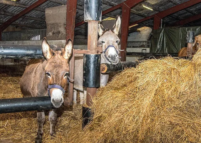 Ferienhaus 4 Person In Højer