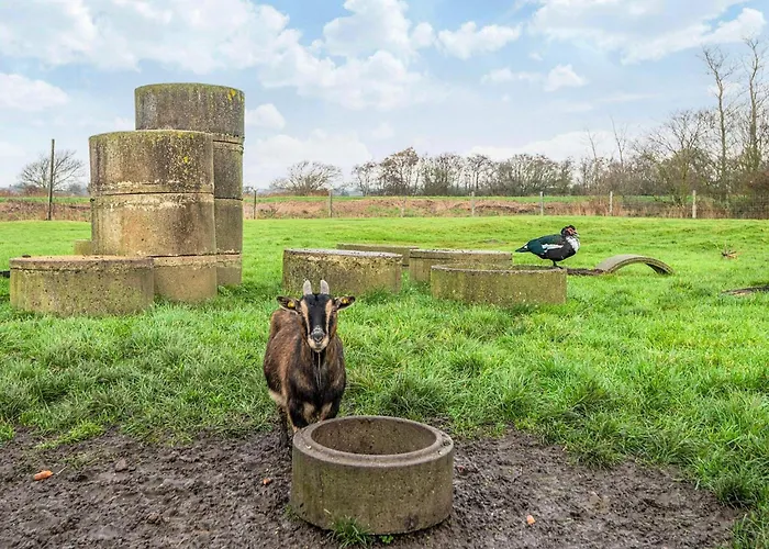 4 Person In Ferienhaus