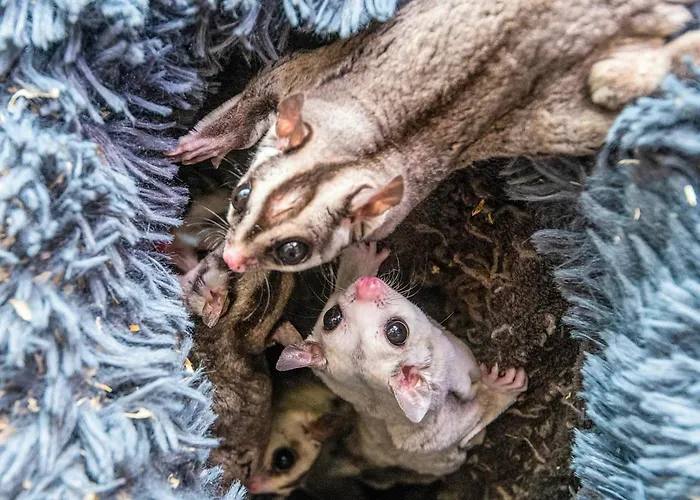 4 Person In Ferienhaus